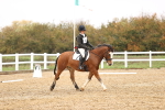 SBM_001940