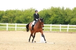 SBM_006539