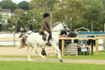 SBM_69919
