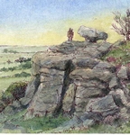 Brimham Rocks