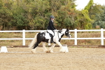 SBM_002711