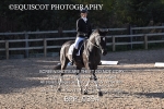 BPP_9394