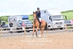 BPP_8069