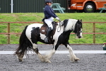 SIAL8513