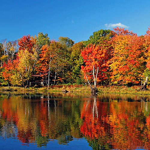 The Kennebecasis River reflecting autumn's hues.
