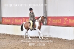 BPP_1016
