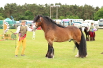 SBM_06327