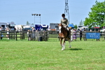 SBM_03835