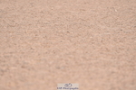 230720A-093944-01442