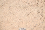 260627-135129-04514