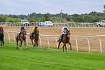 170826-Race 2-Harrys Pop-9156