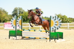SBM_006179