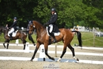 312-J'ADORE_SALSA-Michael_Owen-WEDTrotUp+DR portfolio