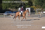 BPP_8213