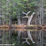 Animaland Sussex New Brunswick Canada