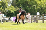 SBM_07218