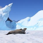 Chilling out