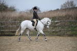 SBM_006029
