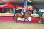 SBM_05348