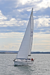 190729 SEA BADGER GBR9483T 1Y3A6700