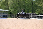 WJ6_8353