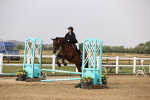 SBM_000969
