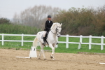 SBM_006368
