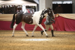 SBM_05636