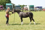 SBM_02424