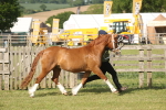 SBM_10444