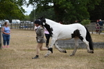 WJ6_8379