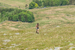 Threlkeld-12