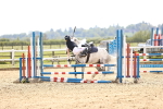 SBM_001659