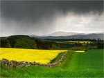 Distant Rain