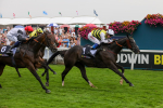 Race 5 3.50pm BetGoodwin Garrowby Stakes portfolio