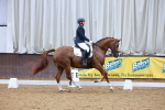 SBM_001806