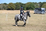 WJ6_9188