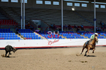 3HRodeo8-11-25_PRCASteer_05293_