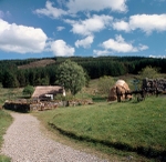 Auchindrain crofting museum