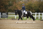SBM_001503