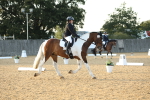 SBM_30593