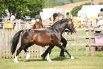 SBM_09075