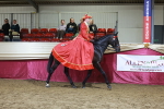 Class U - Costume Confour Champ portfolio