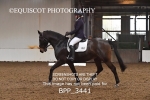 BPP_3441