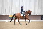 SBM_004445