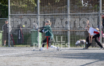 Softball B Muratti 2017-29