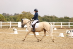 SBM_002076