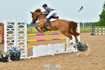 Cls 16 Foxhunter portfolio