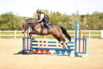 SBM_002084