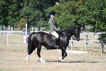 WJ7_3430
